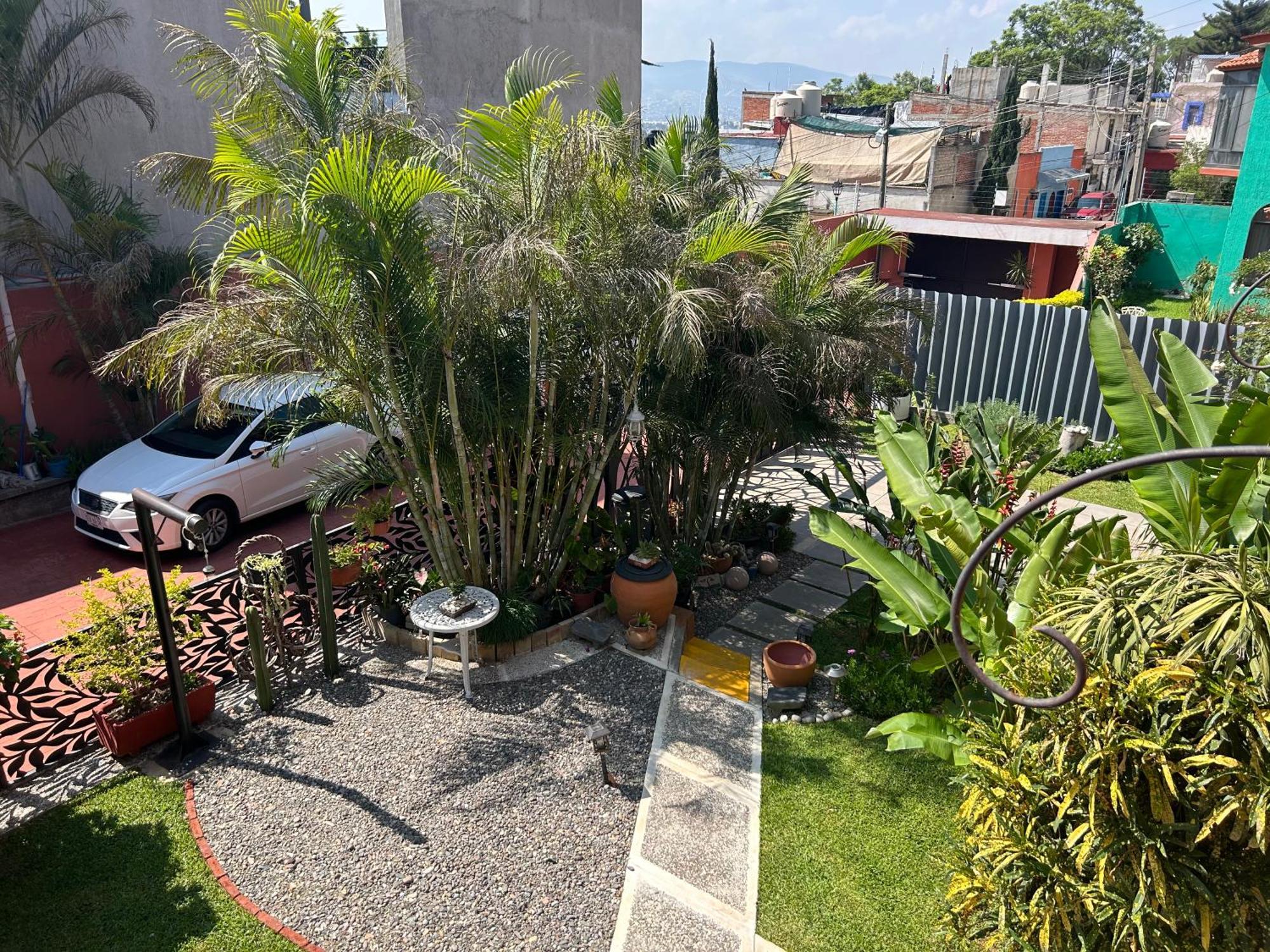 Casa De Las Palmas Guest House Oaxaca Exterior foto